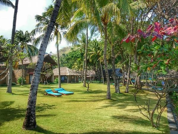 Jeeva Klui Resort tweet media