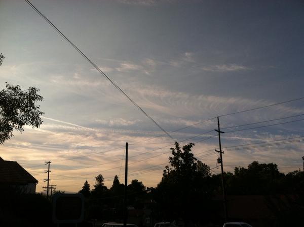 TerminatorBarbi's tweet photo. When scientists have been bought off and officials don't act until you point a camera at them #StopClimateEngineering http://t.co/9CfhsdZDX0