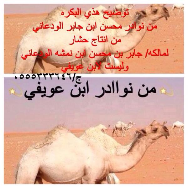 okk529's tweet photo. 00: http://t.co/rmCuUX77Ko"