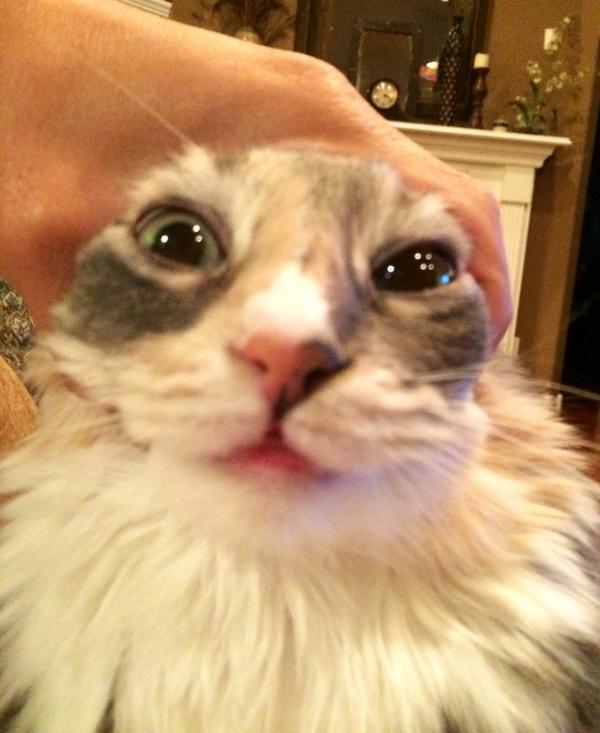 jerrydou tweet picture
