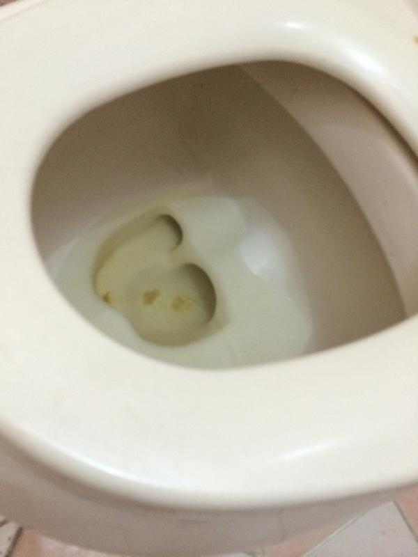 هذا حمامي من الكلب الي يحب ينظفه بلسانه وينظف كسي بعدها