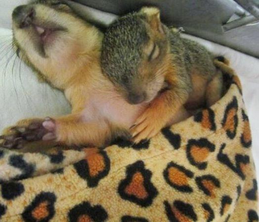 Tú y yo así, todas las noches de nuestras vidas.