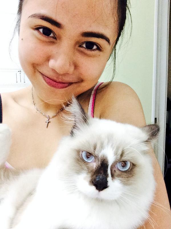 matabapingping's tweet photo. Prepping. Euro's tub buddies π
Excuse the toilet pls π #bathetime #fursofresh #shaggychick #chromefilter #skinsowhite http://t.co/dmZR4e9EPk