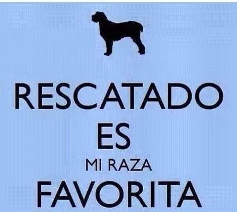 Protectora Guardo (@prote_guardo) on Twitter photo 