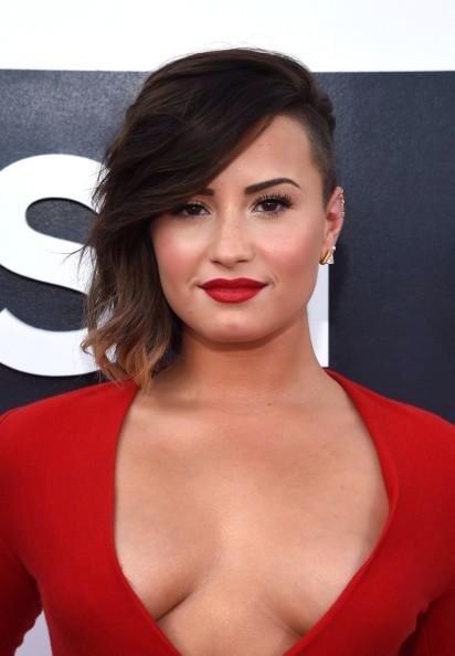AbbieFosters_SS's tweet photo. #DearDemi next time you try to tell us you have 'mosquito bites' please look at these pictures... @ddlovato http://t.co/rK39DBFo58