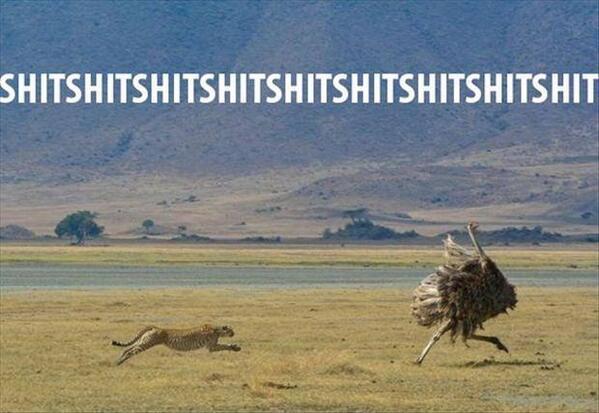 RemarksFootball's tweet photo. When you get put through on goal and the defender is catching you. http://t.co/3jM9QvsKGB