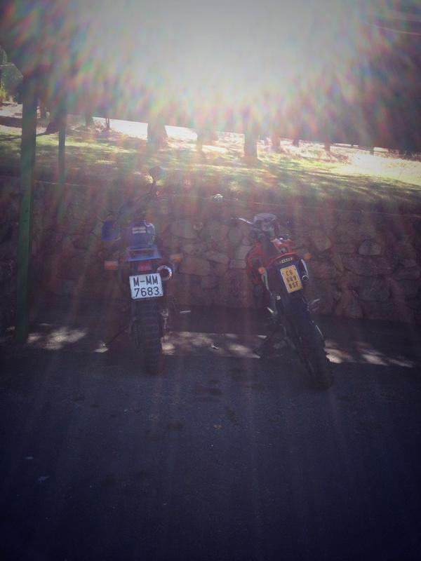 arturomenor's tweet photo. @JaviMike_ dos buenas burras!! http://t.co/72yCApj0Kn