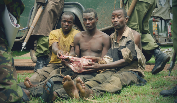 StandardKenya's tweet photo. Poaching is a national disaster, must be treated as such
http://t.co/zdZ7JhOj1k http://t.co/T4wTeTqDtx