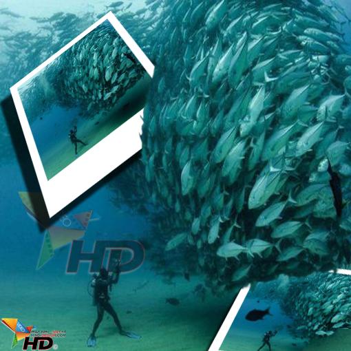 hind_design's tweet photo. http://t.co/dJy3m8gT1J