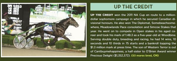 SChorsesales's tweet photo. Up The Credit's 1st crop (2c & 2f) selling at #CYS2014 http://t.co/IpVr7PNmWz #DaddyDebut #harnessracing #whatastud http://t.co/rqrtCLFZ4Q