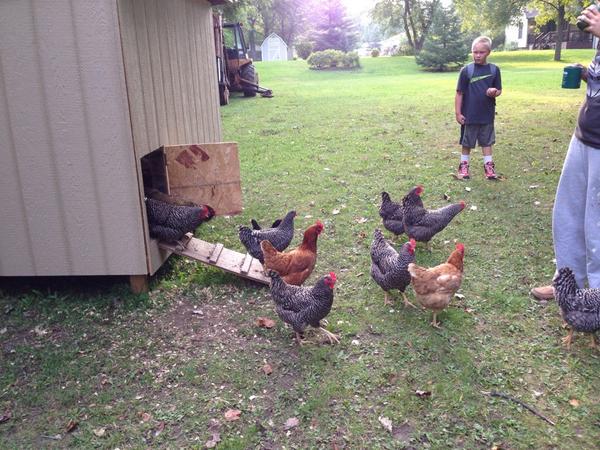 mobilechimp's tweet image. We missed the bus today. Worth it.