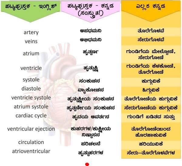 webcam meaning in Kannada  webcam translation in Kannada - Shabdkosh