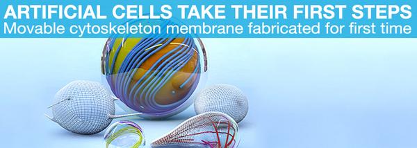 TU_Muenchen's tweet image. Movable #cytoskeleton membrane fabricated for the first time: go.tum.de/029997 #artificialcells