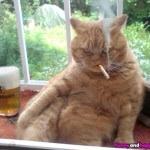 HarvaEgo's tweet photo. This is how I like my pussy #reakingofdarts http://t.co/SZW4u22cFg