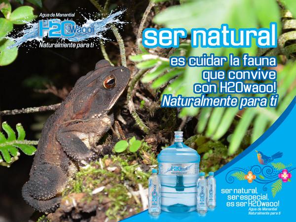 H2Owaoo's tweet photo. Te invitamos a cuidar la #flora y #fauna de nuestro #Mexico!!!
Ser #Natural, Ser #Especial es Ser #H2Owaoo http://t.co/BJCbxgMR02