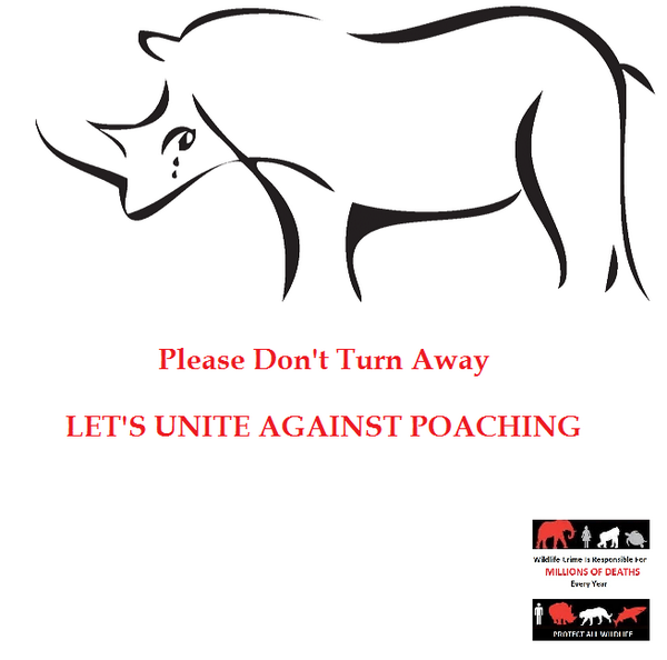 KerryD_07's tweet photo. S"outh Africa’s Rampant Rhinocide: A Baby Rhino Mourns His Mother. http://t.co/KdCOxFVY9e… #RhinoFriday #Rhino http://t.co/FTKtHnK0uC". :'(