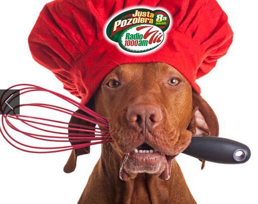 Собака повар. Пес повар. Собака повар. Животные повара. Пес повар.