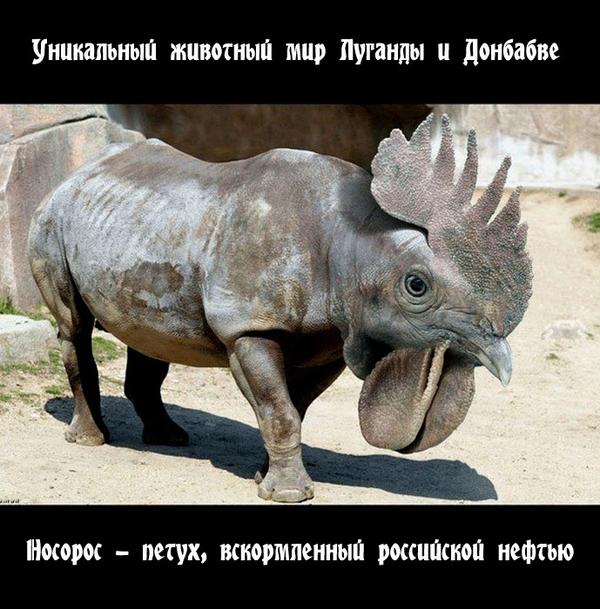Послы ЕС договорились о новом пакете санкций против России - Цензор.НЕТ 1501