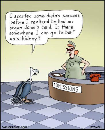 Here's a laugh for you on this Friday - facebook.com/recycleyourself #kidneychat