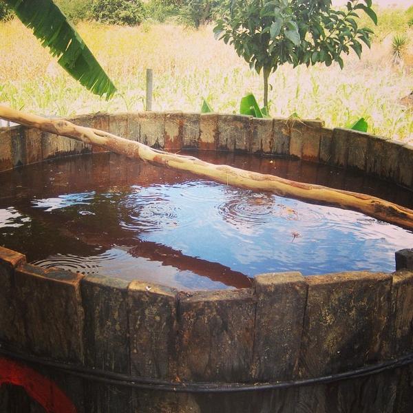 DelMagueyBoston's tweet photo. "There are no chemicals here, just God's will." #FlorencioCarlos #delmaguey #elviejo #santacatarinaminas @makingm... http://t.co/Wvrxmk611S