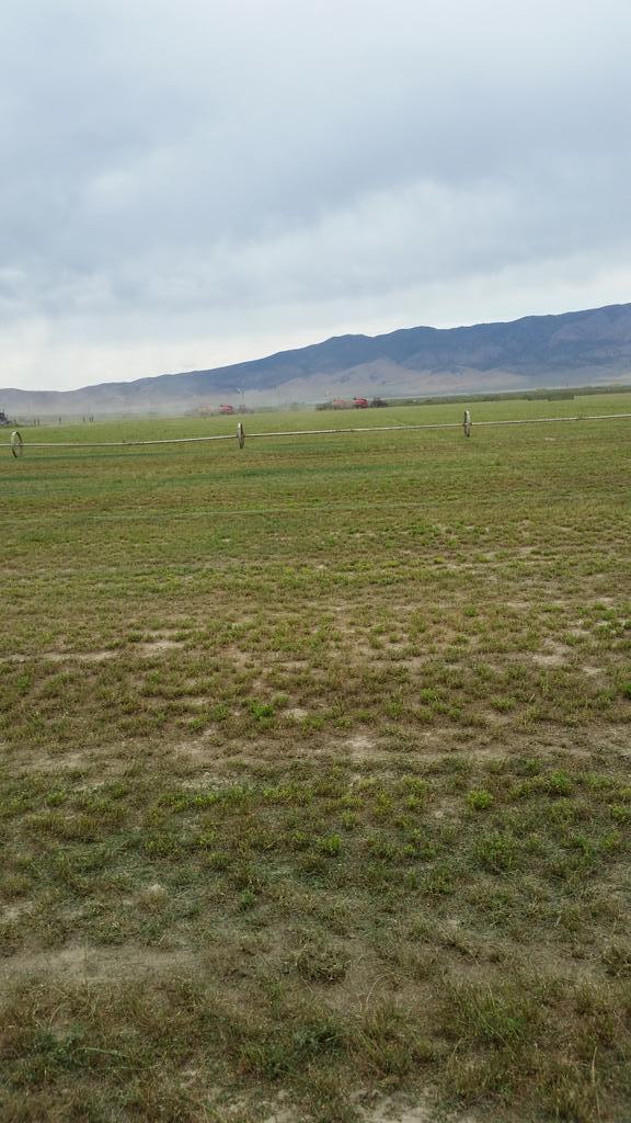 jerseyfreak99's tweet photo. Missing Nevada right now #HomeMeansNevada # bestplaceever http://t.co/9NYiKG1pU0