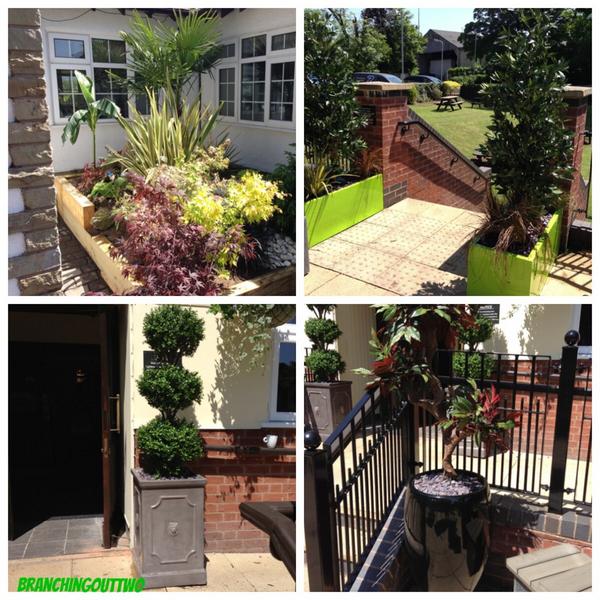 Branchingouttwo's tweet photo. Different types of planters http://t.co/tVMDrODYvU