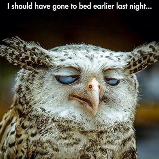 NaeCake's tweet photo. @ZoeFrost26 I tapped out at 1.30am. http://t.co/8d9mTS8ujD