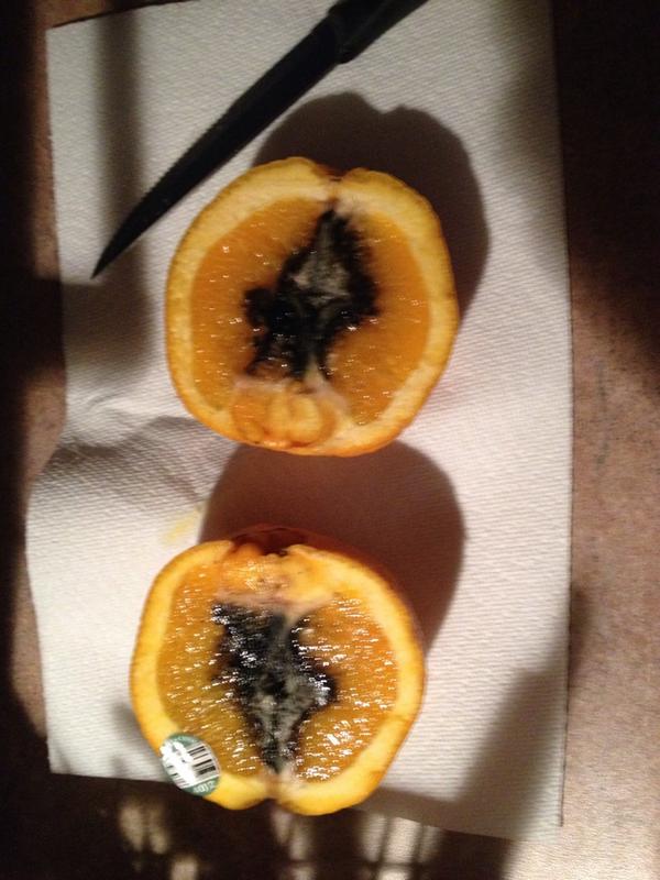 RiverRat78's tweet photo. Bought these from the St. John @StrackAndVanTil.  Thankfully I cut it open and didn't peel this one. http://t.co/blrL6bWpL1