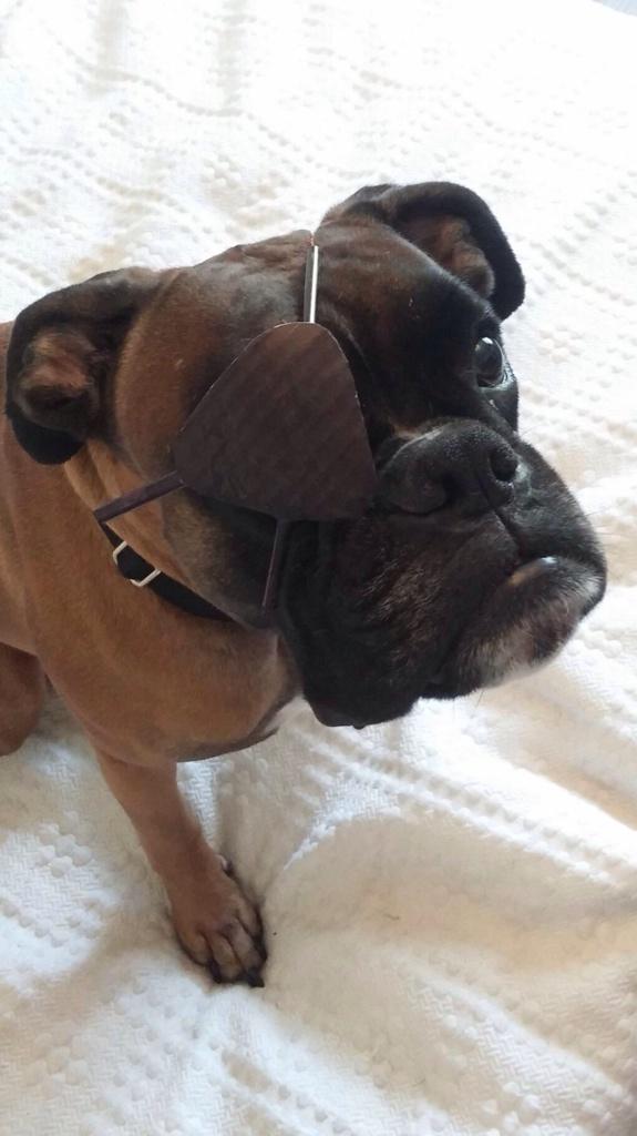 Bx-YK1QIQAArSHX.jpg:large