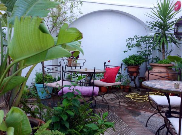 Terraza de nuestro bar-restaurante