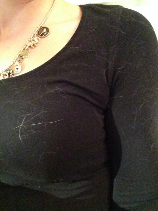 Duumee's tweet photo. L'art de mettre un chandail noir et d'aimer son chat 5 minutes avant de partir ! 😩 http://t.co/qFpjwVpSJq