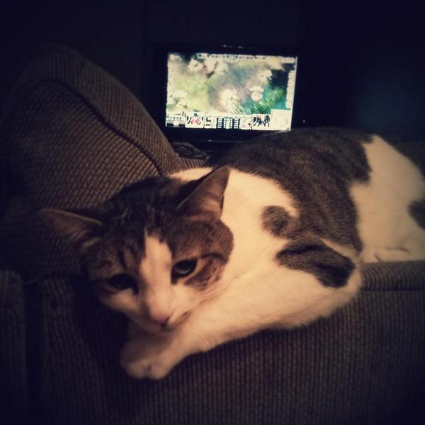 hollyquach's tweet photo. this is how we #worlds ! http://t.co/6rVegzhnwY