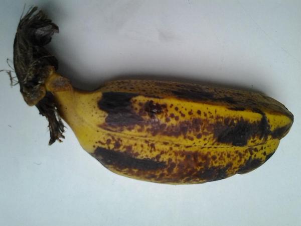 Mi verdulero dice que este es el más banana de todos...