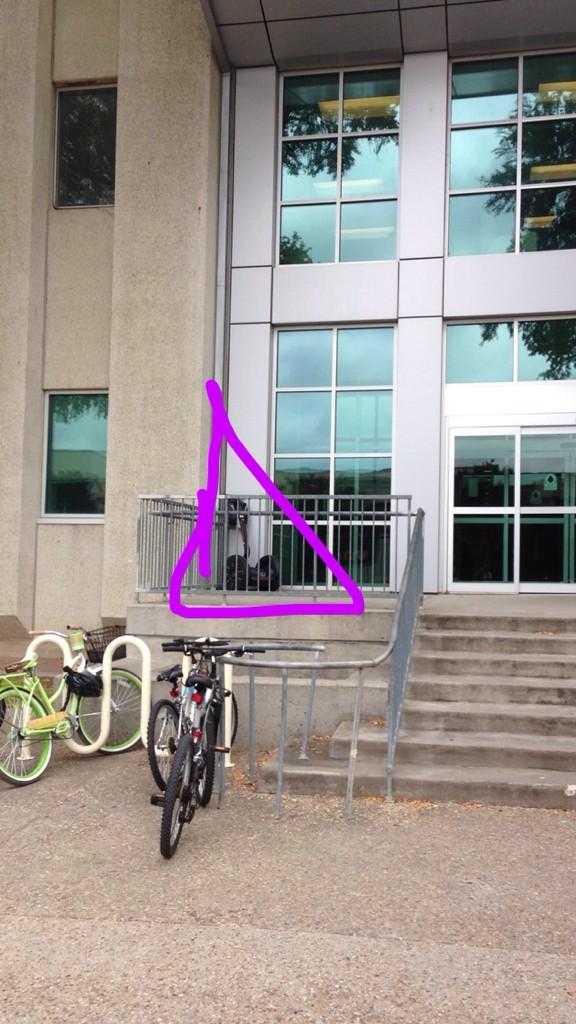 UTDiLLUMiNATi's tweet photo. #UnansweredSegweyGuyQuestions http://t.co/ZQxO5Dard1