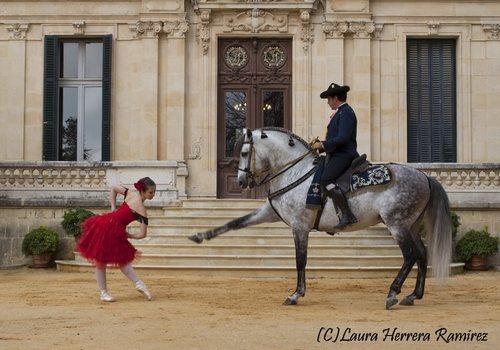 Los tordos tienen fases en su capa , tordos o fase blanca.