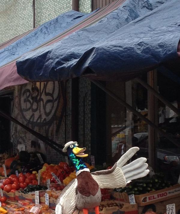 celaerin's tweet photo. .@BellLocalTO .@duckformayor out on Kensington Market talking to the public. http://t.co/rpB3uAadM6
