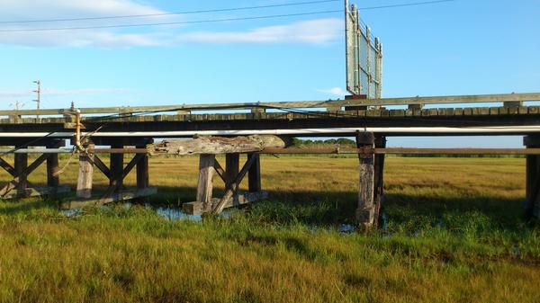 Timothy Shaw tweet media