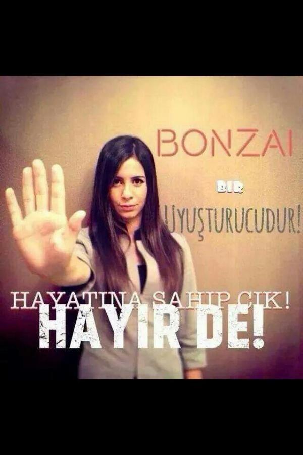 BONZAI ÖLDÜRÜCÜ BÌR UYUSTURUCU MADDEDIR.SAGLINIZ VE SEVDIKLERINIZ ICIN BONZAI HAYIR.