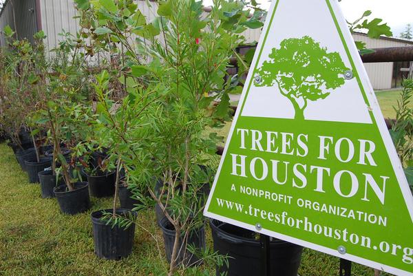 SomaRanch's tweet image. thank you #treesforhouston we LOVE our new trees and appreciate your help, support and expertise.