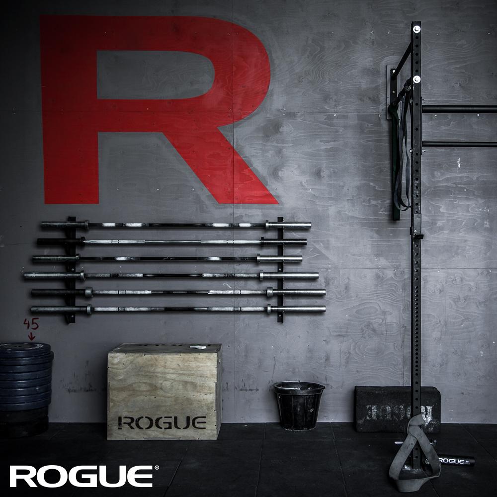 Rogue gun 2025 rack