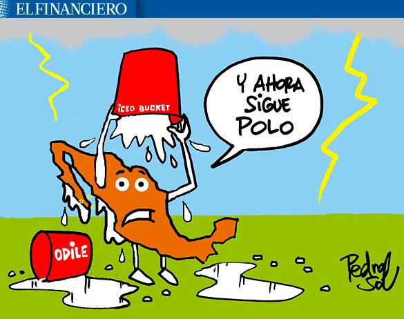 ElFinanciero_Mx's tweet image. #MonerosFinancieros: Empapados, de @pedrosol4  bitly.com/1swrZWp