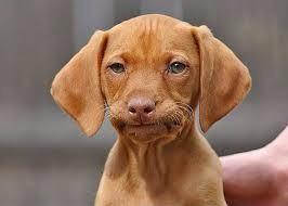 theDJWhaley's tweet photo. Everybody else is enjoying iOS 8 and I'm stuck here like http://t.co/k7nnNCcVwl