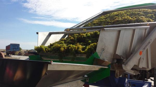 Bodegas Verderrubi tweet media