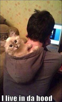 ARandomPicture's tweet image. 