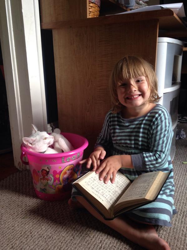 volleyval's tweet photo. #catinbucket http://t.co/H7mL0EJOhz