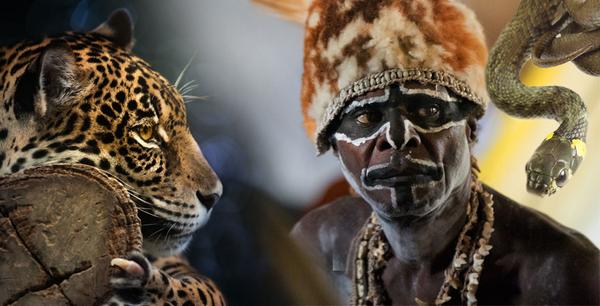 vmirechudes's tweet image. 10 мест, где едят туристов
vmirechudes.com/10-mest-gde-ed… © В мире чудес