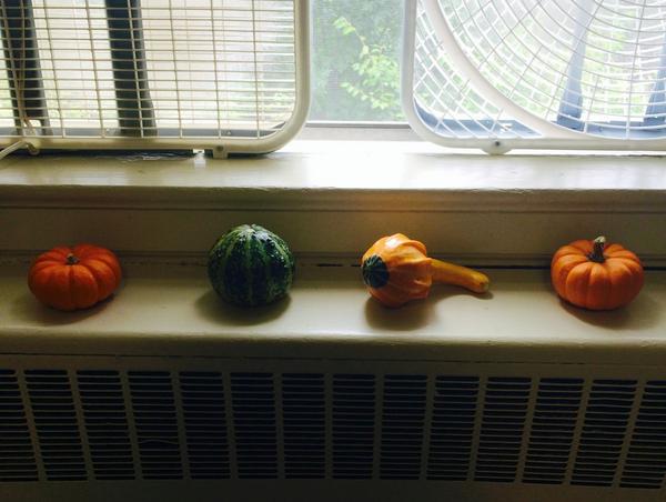 ava_sho95's tweet photo. READY FOR FALL🍁🍃🍂🍁🍃🍂 http://t.co/oICK5NLKBX
