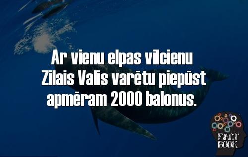 Factbook tweet media