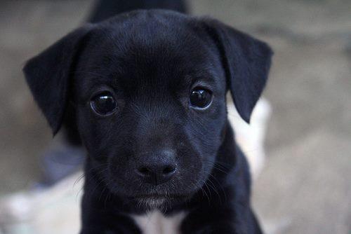 kelsebola's tweet photo. happy thursday everyone! http://t.co/aGg0grfp9O