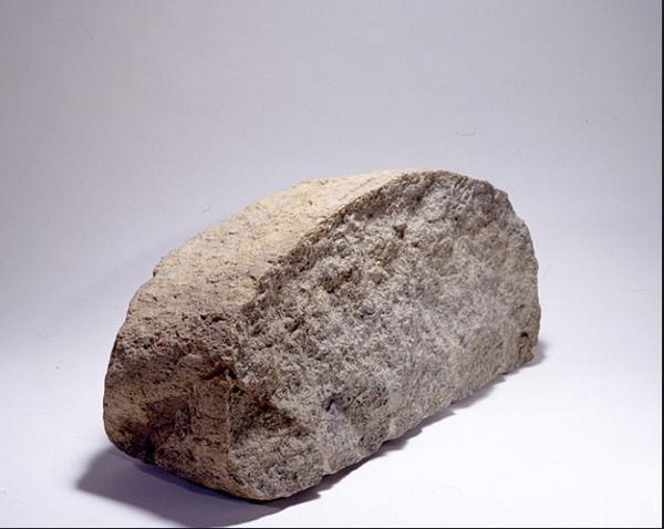 Swannyy34's tweet image. RT for Rock
Fav for Kenko FN